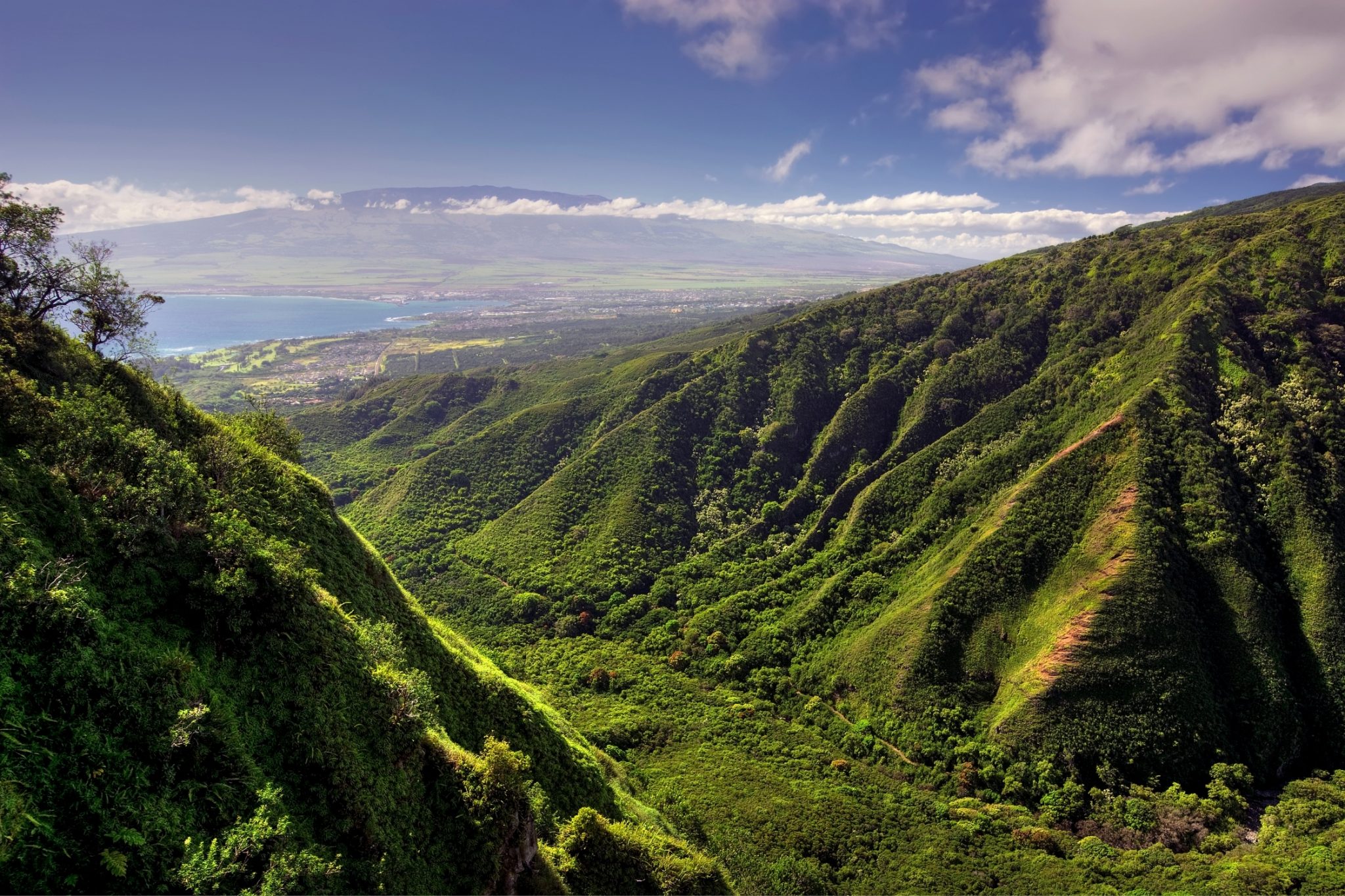 RedWeek Travel Guide Maui, Hawaii RedWeek
