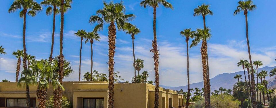 Desert Vacation Villas