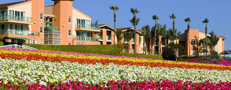 Grand Pacific Palisades Resort