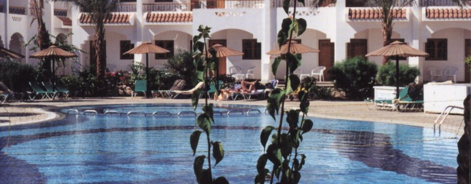Dive Inn Resort