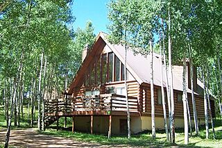 Angel Fire Cabin Share
