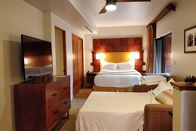 Sample Studio unit with sofa bed