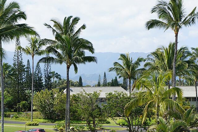 The Cliffs at Princeville