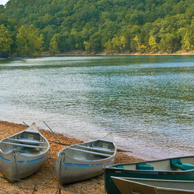 ozark silverleaf redweek
