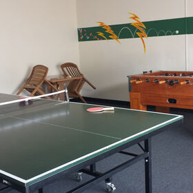 Ping Pong & Foos Ball