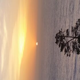 Ocean views