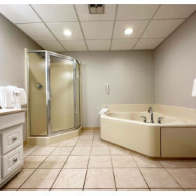 main floor bathroom with jacuzzi and sauna