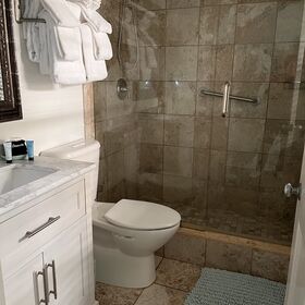 Bathroom - generous shower but otherwise dinky but functional