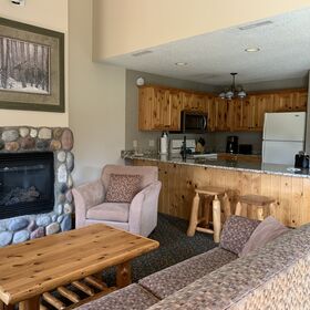 Living room and kitchen