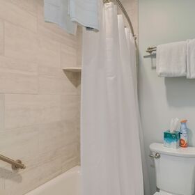 lower level bath 1