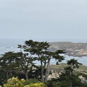 View from 212