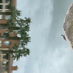 Turtles at the golf course lake