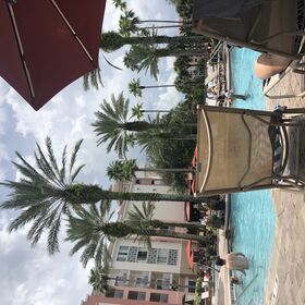 Poolside
