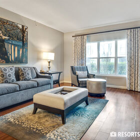 cozy living room