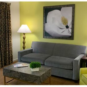 Living room with sofa sleeper