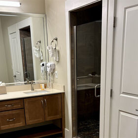 Master Bathroom Shower & Closed Off Toilet