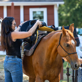Amenity: Eagle Rock Resort Equestrian Center