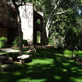 Lots of shade on grounds