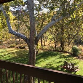 Creekside  bedroom view