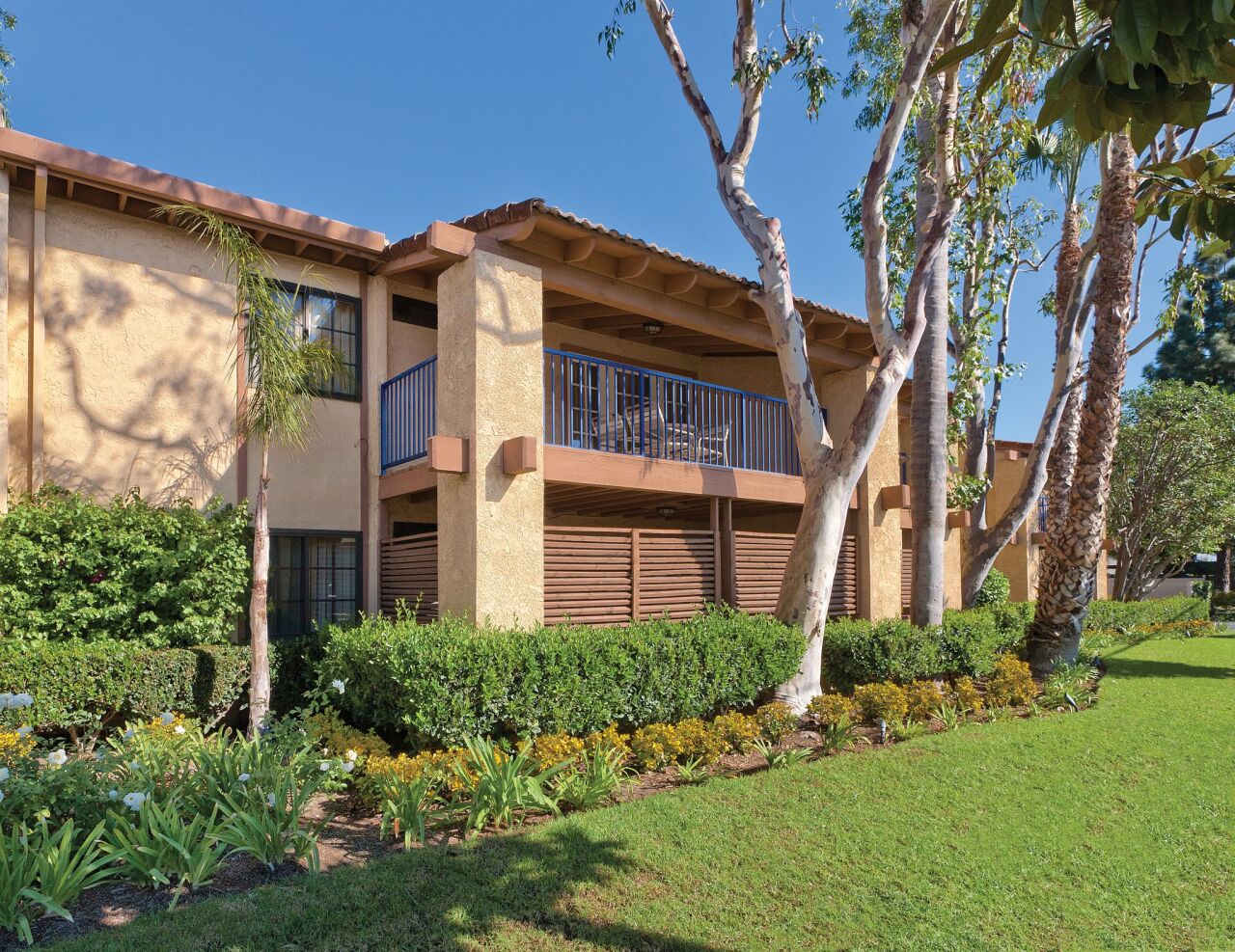 Club Wyndham Dolphin's Cove