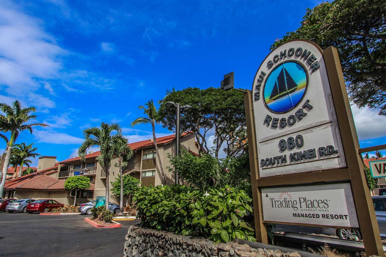 Maui Schooner