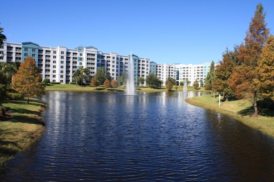 The Fountains