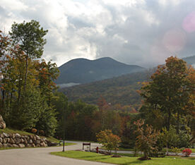 Pollard Brook - Scenery