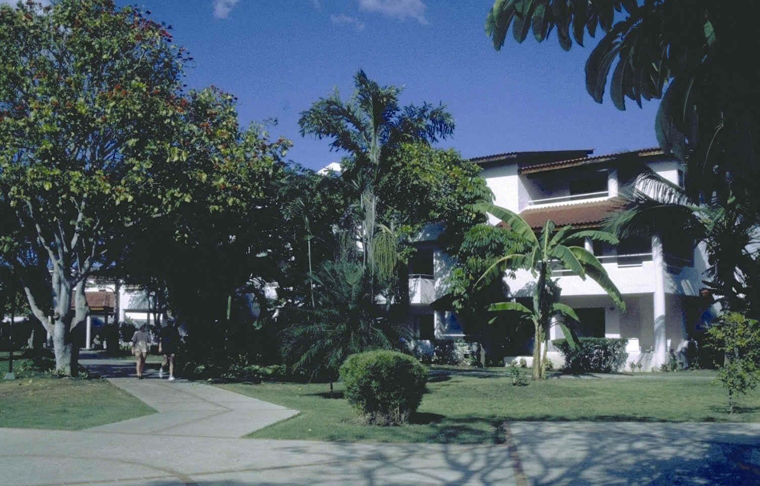 Fun Tropicale