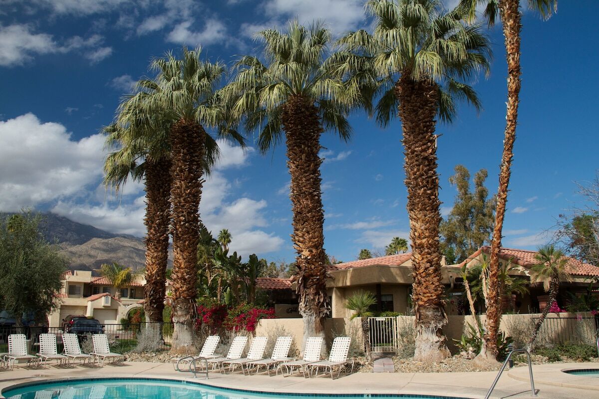 The Oasis Resort | RedWeek
