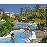 Palm Oasis — - Pool