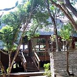 Sobhengu