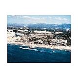 Golden Shores Flamingo