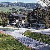 Alpine Club