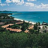 Rex Halcyon Cove