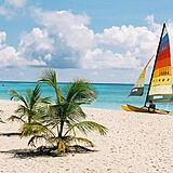 Divi Southwinds Beach and Racquet Club — - Beach