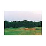 Tanglewood Vacation Villas — - Golf