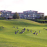WorldMark Port Stephens Resort
