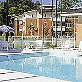 Wild Wing Resort — - Pool