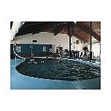 Breezy Shores Resort & Beach Club — - Pool