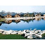 Pine Lake Resort