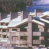 The Edelweiss