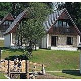 Honicombe Manor