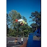 Eagle Trace at Massanutten — - Skateboard Park