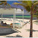 Morritt's Tortuga Club — Beach
