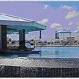 Morritt's Tortuga Club — - Pool Bar
