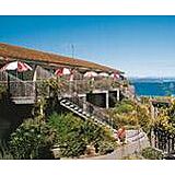Taupo Ika Nui