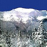 Forest Glen Inn — - View From Resort