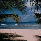 Sandy Point Beach Club — Beach at