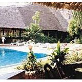 Palm Tree Club