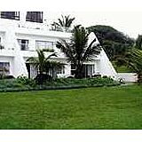 Salt Rock Palms